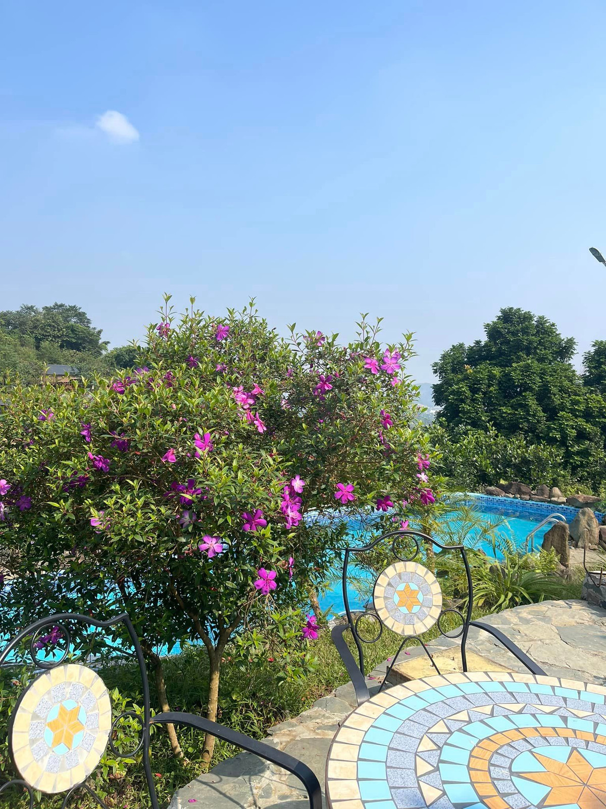 Trong trang trại của ca sĩ Việt Hoàn còn có bể bơi như trong khu nghỉ dưỡng. Ảnh: FB Trần Việt Hoàn