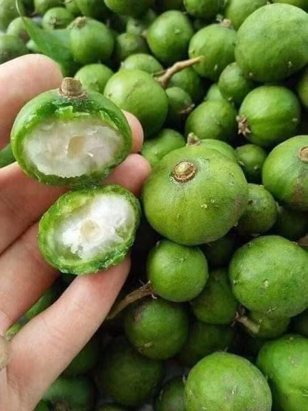 Dat hon thit, chi em van “moc vi” mua sau non dau mua