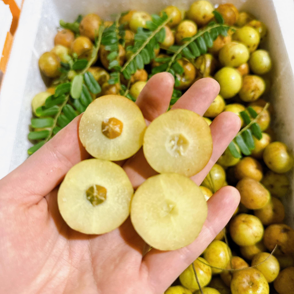 Me rừng trông rất đẹp mắt lại kích thích vị giác nên được các chị em thi nhau đặt mua. Ảnh: Facebook