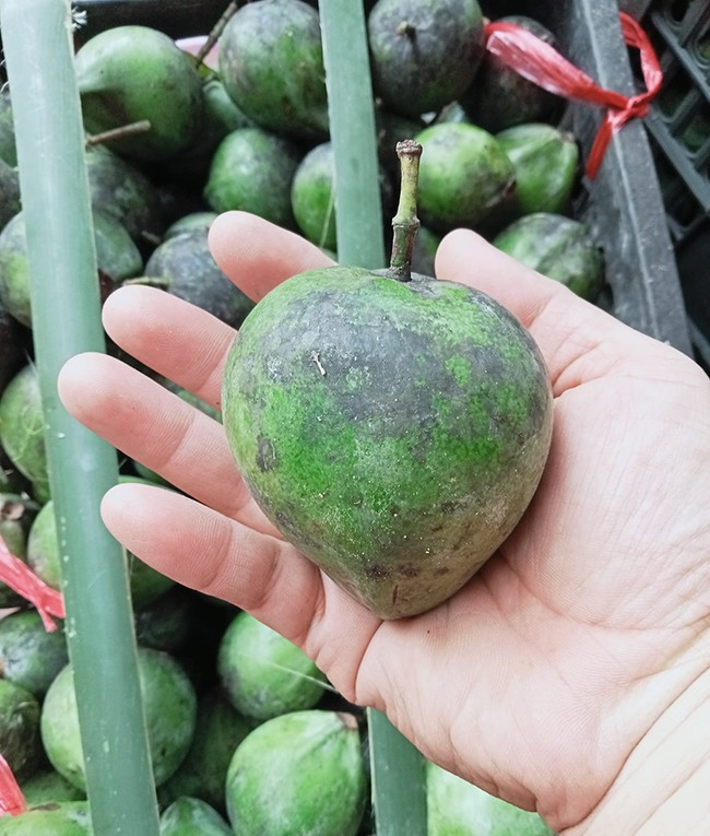 Nhưng ngày nay, quả dọc trở thành đặc sản được nhiều chị em ở thành phố tìm mua để nấu canh, kho cá... Ảnh: Facebook