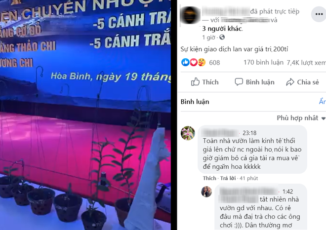 Đáng chú ý, một trong những "lão đại" nổi tiếng của ngành lan – nhà lan Hai Beo đã tiết lộ, giá trị của dàn lan quý lên tới 200 tỷ đồng. Ảnh: Vietnamnet