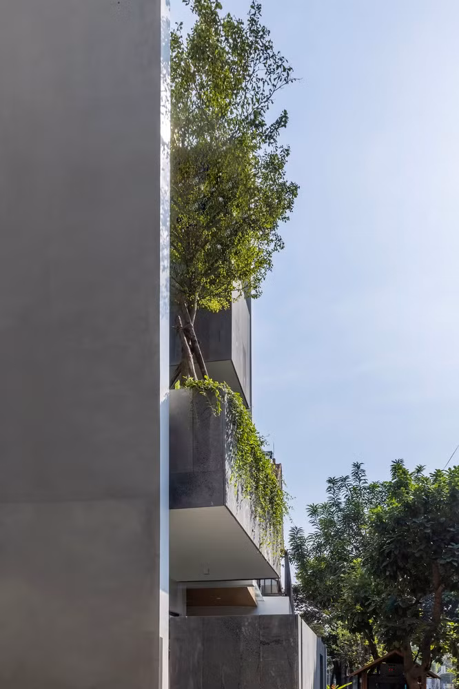 Nhờ đó, căn nhà không chỉ mát mẻ hơn mà còn tạo ra môi trường sống gần gũi và thân thiện hơn với thiên nhiên.