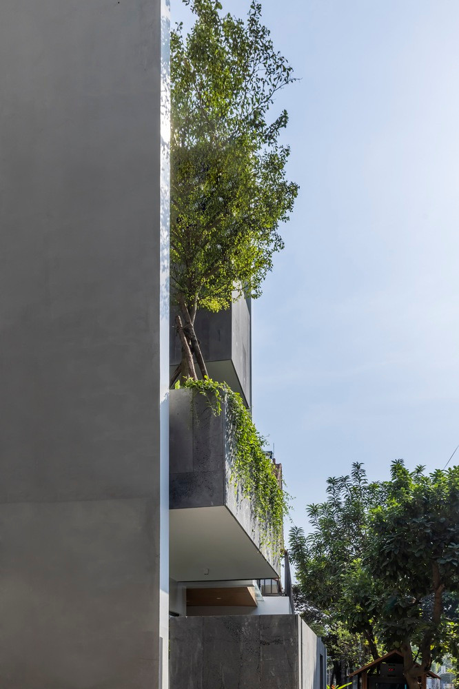 Nhờ đó, căn nhà không chỉ mát mẻ hơn mà còn tạo ra môi trường sống gần gũi và thân thiện hơn với thiên nhiên.