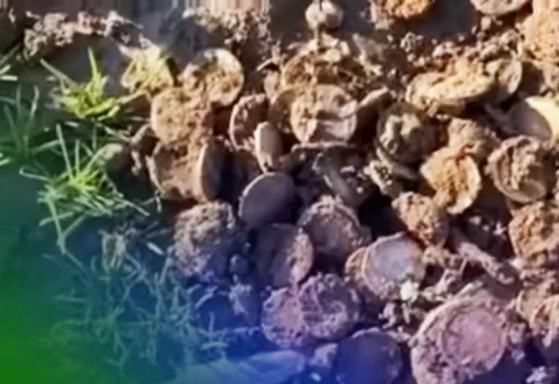 Dang dao dat, anh nong dan “nga ngua” thay kho bau chuc ty