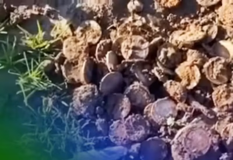 Dang dao dat, anh nong dan “nga ngua” thay kho bau chuc ty