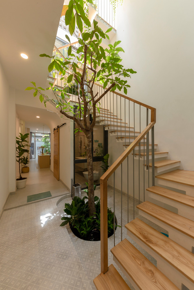 Từ đó, ánh sáng tự nhiên len lỏi vào từng ngóc ngách ngôi nhà hơn. Ảnh: Thiết Vũ