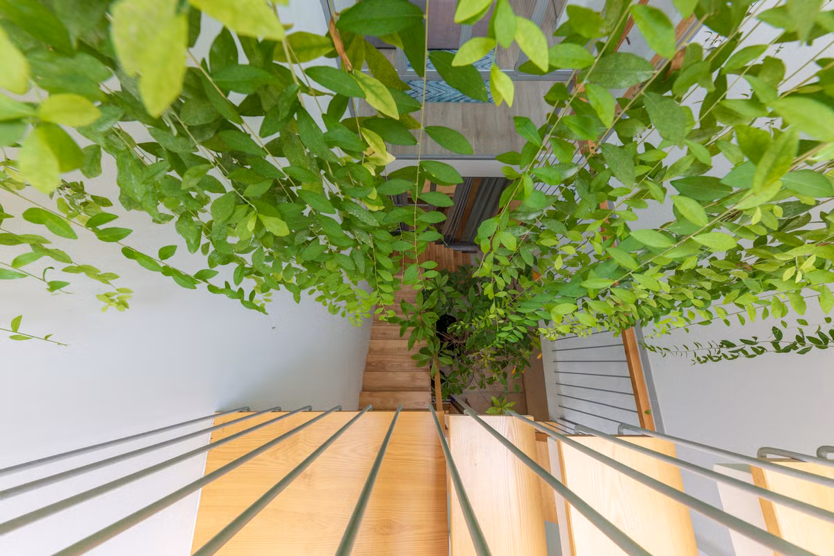 Các thành viên có thể ngắm nhìn "ốc đảo xanh" từ bất kỳ phòng nào trong nhà. Ảnh: Thiết Vũ