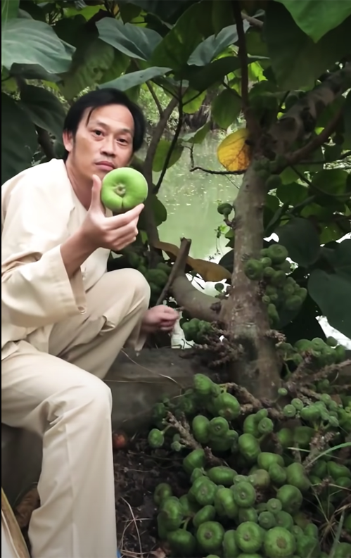 Bên cạnh ao, nghệ sĩ Hoài Linh trồng một số loại cây ăn quả. Ảnh: FBNV