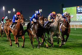 Dubai World Cup - giải đua ngựa đắt giá nhất thế giới - thu hút các tay đua từ khắp thế giới mong muốn giành 10 triệu USD. 9 giải đua ngựa ở Dubai có tổng giải thưởng tiền mặt lên tới 30 triệu USD. Ảnh: Dubai