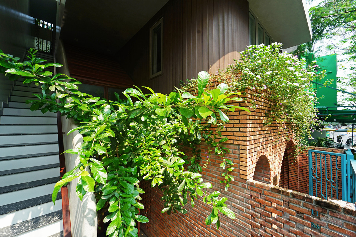 Cây xanh như một yếu tố không thể thiếu, giúp nhà thêm thoáng mát, tươi mới.