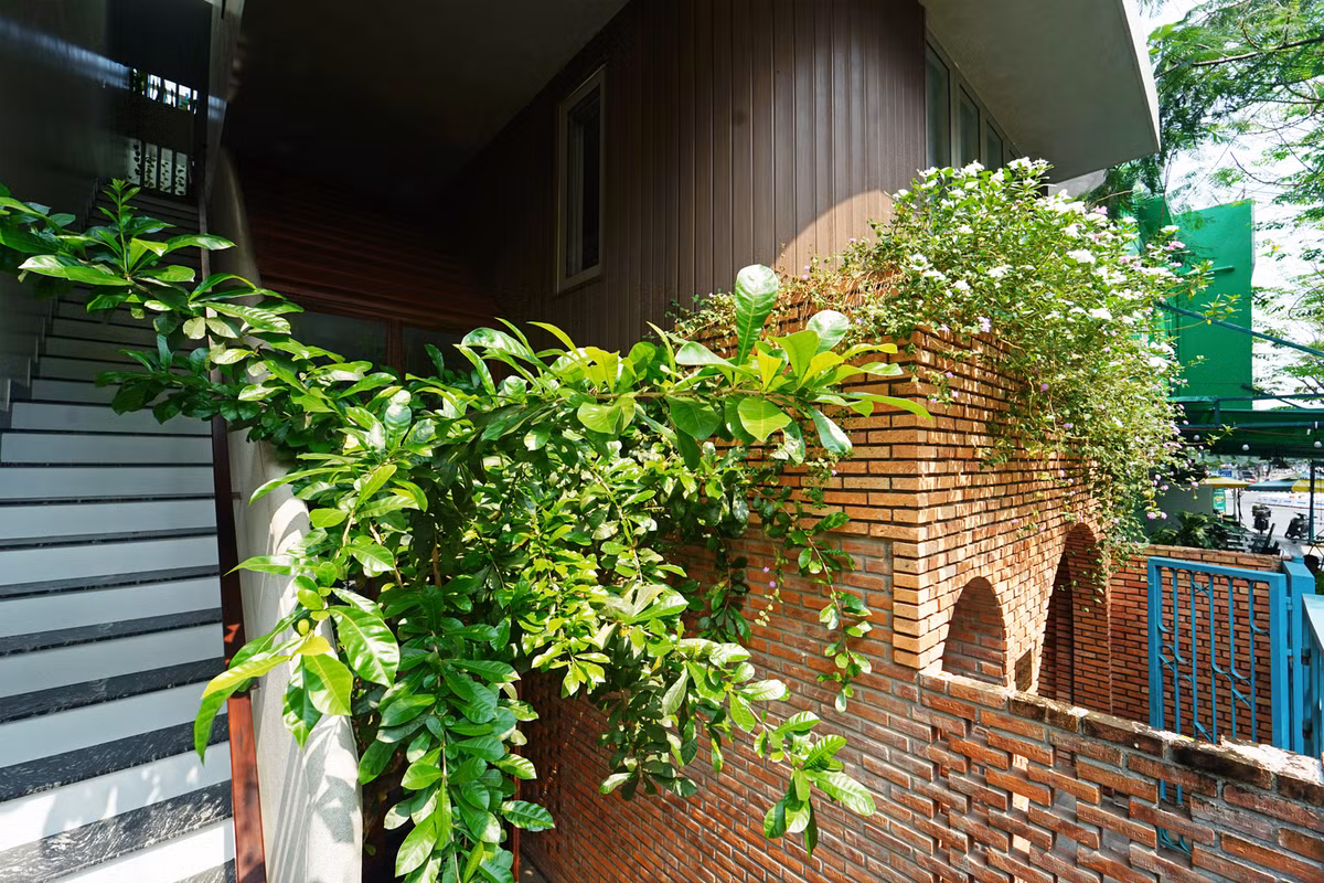 Cây xanh như một yếu tố không thể thiếu, giúp nhà thêm thoáng mát, tươi mới.