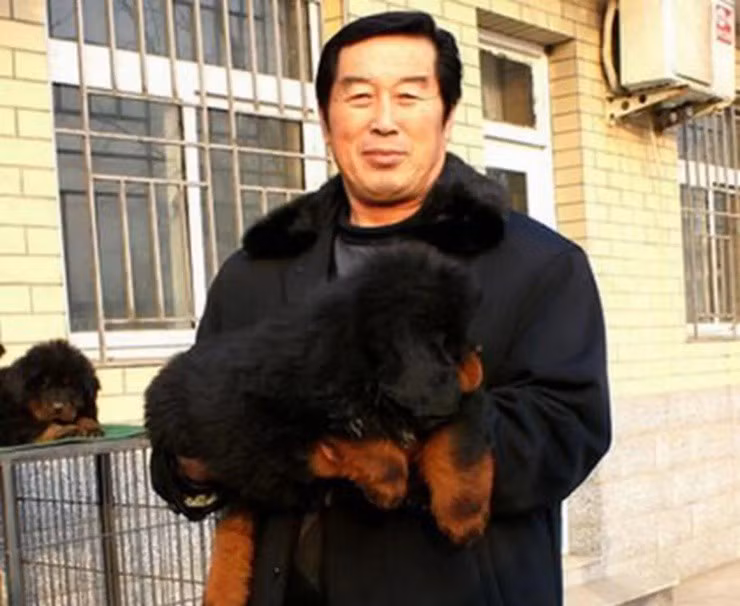 Đáng chú ý, một con chó ngao Tây Tạng khổng lồ xuất hiện tại triển lãm Ngao Tạng phương Bắc lần thứ 2 ở tỉnh Hà Bắc (Trung Quốc) được ngã giá 30 triệu NDT (gần 99 tỷ đồng). Ảnh: Chinanews