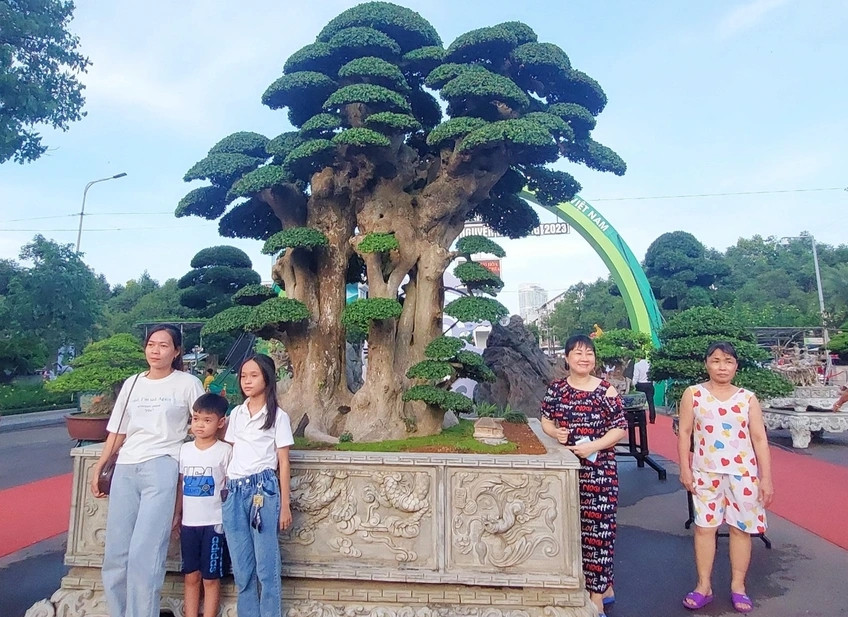 Theo anh Toàn, cây duối mọc và sinh tồn lâu đời ngoài tự nhiên, sau đó được người dân đào về và chăm sóc được 5 năm. Ảnh: Dân trí