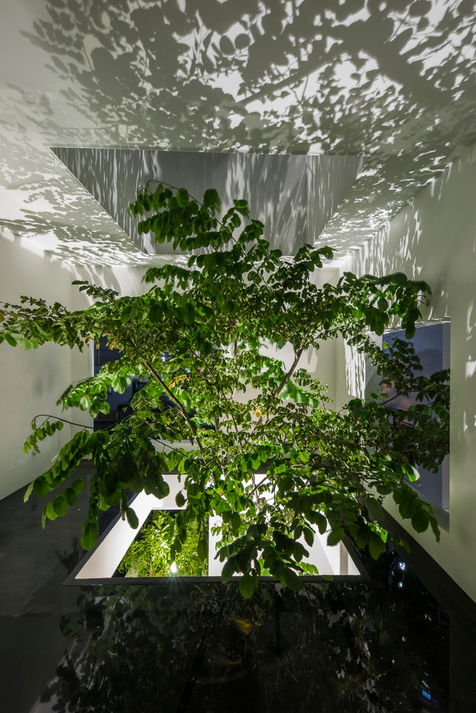 Cây xanh là yếu tố không thể thiếu trong nhà. Ảnh: Triệu Chiến, Oki Hiroyuki, Hoàng Lê