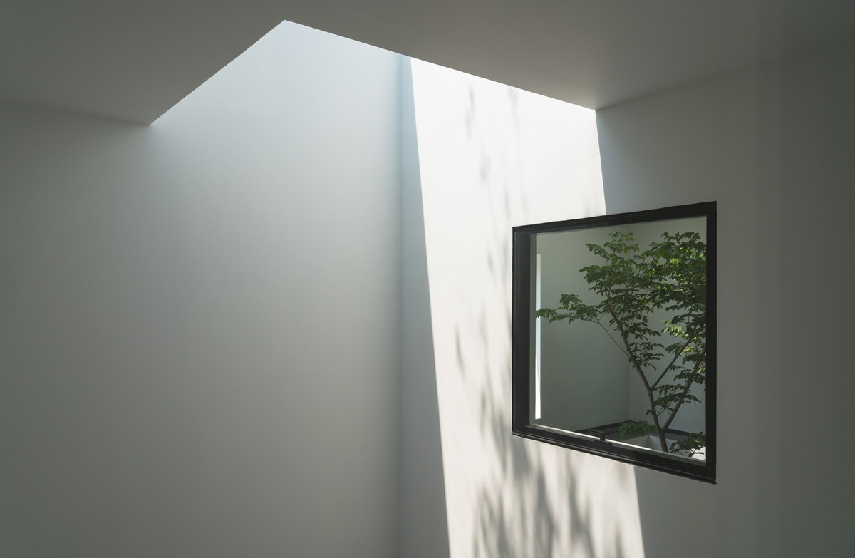 Công trình kiến trúc như một cơ thể sống. Thay vì mở ra bốn phía xung quanh, kiến trúc sư tạo ra sự kết nối theo chiều dọc giữa ngôi nhà và bầu trời. Ảnh: Triệu Chiến, Oki Hiroyuki, Hoàng Lê