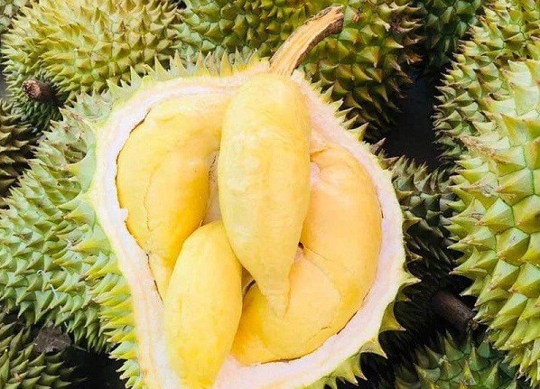 Thực hư sầu riêng 30.000 đồng/trái - Hình 2 Thuc hu sau rieng 30.000 dong/trai-Hinh-2