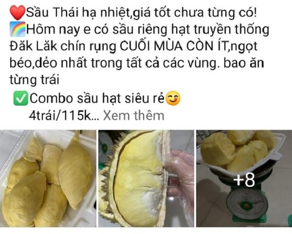 Thực hư sầu riêng 30.000 đồng/trái Thuc hu sau rieng 30.000 dong/trai