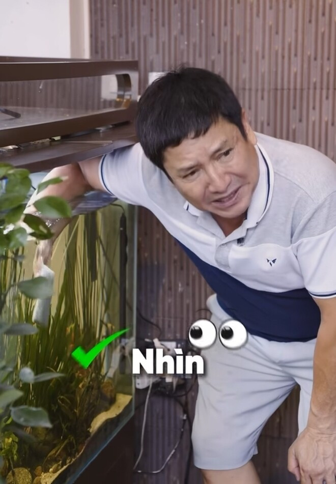 Nghệ sĩ Chí Trung dùng khăn để lau sạch kính bể cá. Ảnh chụp màn hình