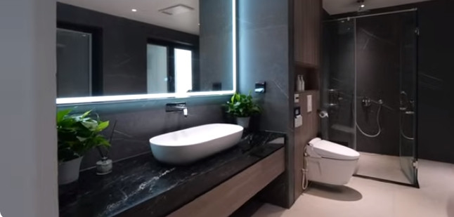 Phòng tắm hiện đại có điểm nhấn là chậu cây xanh xinh xắn. Nguồn ảnh: chụp màn hình NhaF