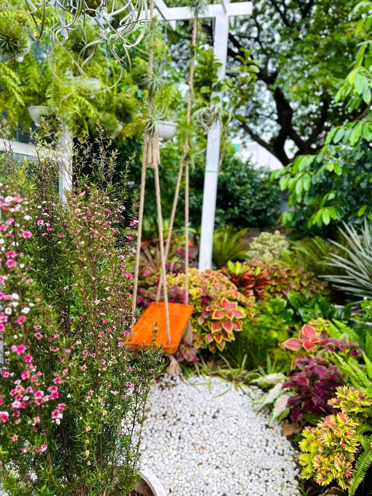 Ca sĩ Mỹ Lệ cho biết, núp dưới gốc cây trâm hoặc chui vào góc vườn mát rượi, hái trái trên cành ăn cho hạ hỏa.