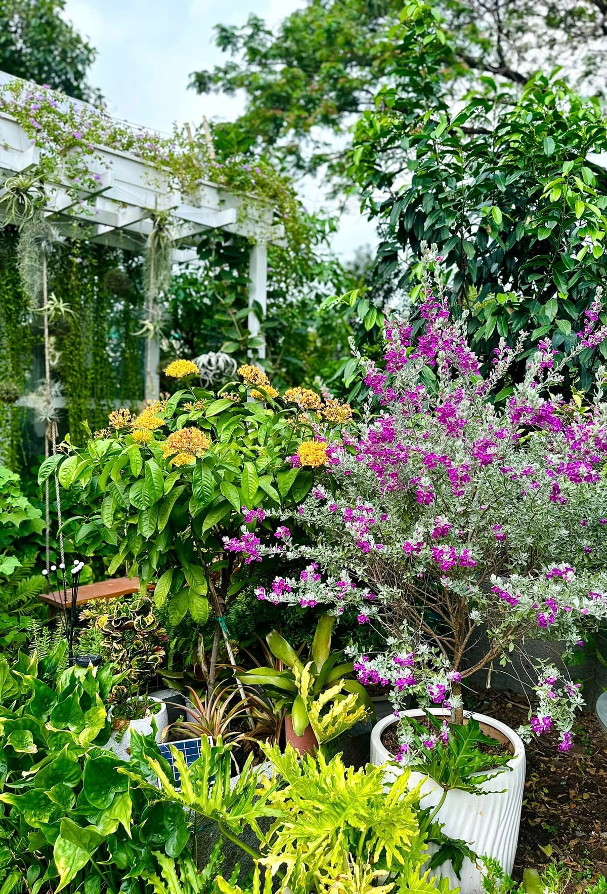 Theo Mỹ Lệ, giá trị của khu vườn xanh mát là những ngày khô tháng hạn như lúc này.