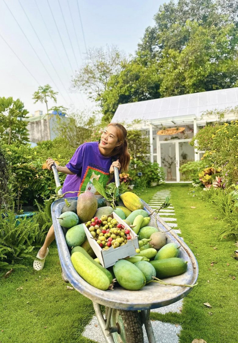 Giọng ca gốc Quảng Trị thích thú khi thu hoạch trái cây ogarnic trong vườn nhà.