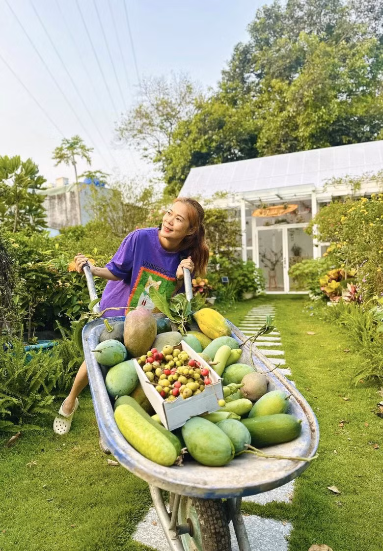 Giọng ca gốc Quảng Trị thích thú khi thu hoạch trái cây ogarnic trong vườn nhà.