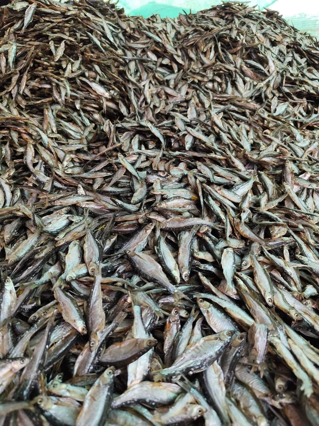 Trên chợ mạng, cá tép dầu khô được rao bán từ 250.000 - 300.000 đồng/kg. Ảnh: Facebook