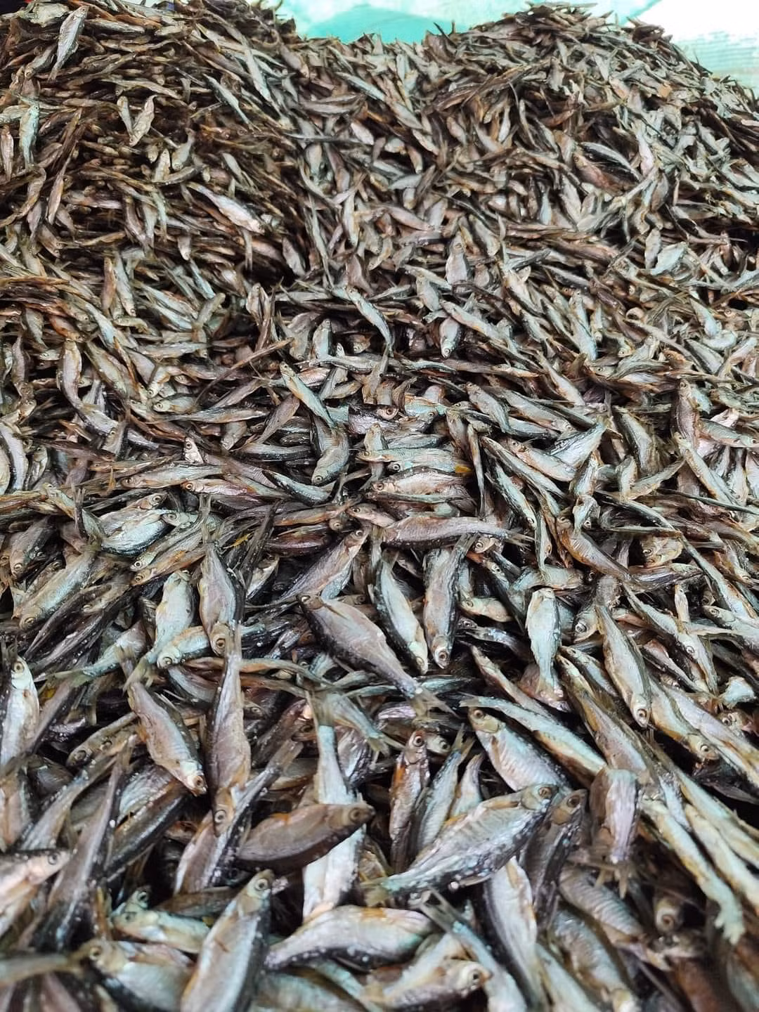 Trên chợ mạng, cá tép dầu khô được rao bán từ 250.000 - 300.000 đồng/kg. Ảnh: Facebook