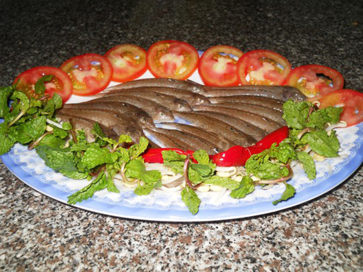 Nhưng hiện nay, cá chai thành đặc sản mang lại giá trị kinh tế, xuất hiện trong nhà hàng, quán ăn giá từ 100.000 150.000 đồng/kg. Ảnh: Facebook