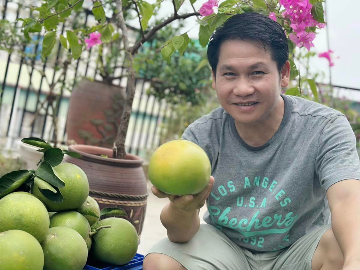 Mới đây, nam ca sĩ khoe thành quả thu hoạch bưởi trên sân thượng trước cơn bão Yagi. Ảnh: FB Trọng Tấn