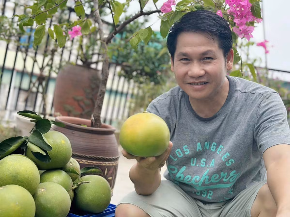 Mới đây, nam ca sĩ khoe thành quả thu hoạch bưởi trên sân thượng trước cơn bão Yagi. Ảnh: FB Trọng Tấn