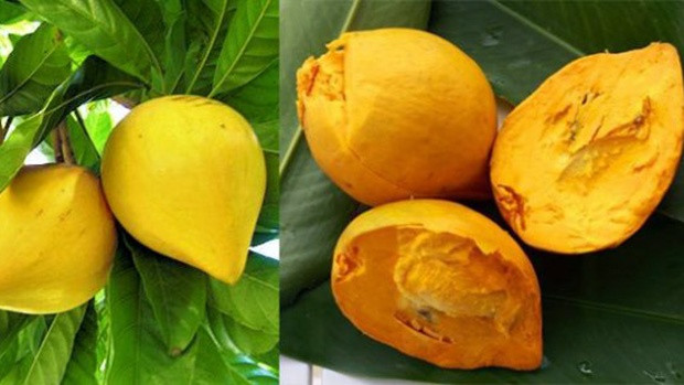 Thế nhưng vài năm gần đây, trên chợ mạng và một số chợ dân sinh ở Hà Nội, quả trứng gà được rao bán với mức giá khá cao, từ 55.000 - 70.000 đồng/kg. Ảnh: Internet