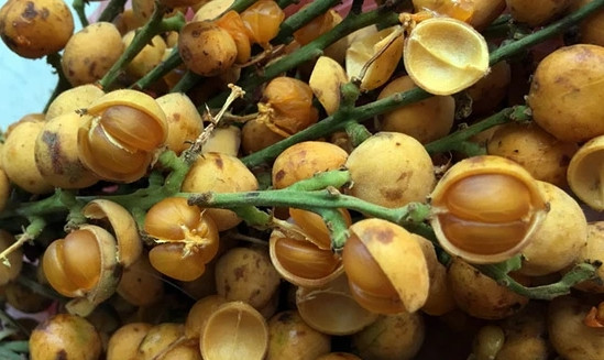 Trái nẻ có giá từ 15.000 - 20.000 đồng/chùm khoảng 300g. Tính ra, 1 kg trái nẻ giá khoảng 70.000 đồng. Ảnh: Dân Việt