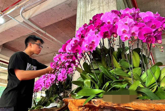 Thông thường, khách chọn hoa trước rồi chọn sau. Nhưng với sản phẩm này khách phải chọn lũa trước, chọn hoa sau sao cho phù hợp với thiết kế theo dáng của lũa. Ảnh: Dân Việt