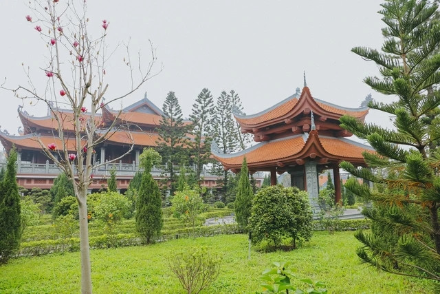 Phía sau nhà thờ là Vườn danh nhân, nơi ghi nhớ công ơn của các danh tướng, danh nhân họ Bùi. Ảnh: Nhịp sống thị trường