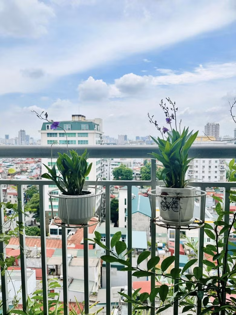 Tại khu vực ban công, BTV Hoàng Trang đặt những chậu hoa lan đang trổ bông tím nên thơ. Nguồn ảnh: FBNV