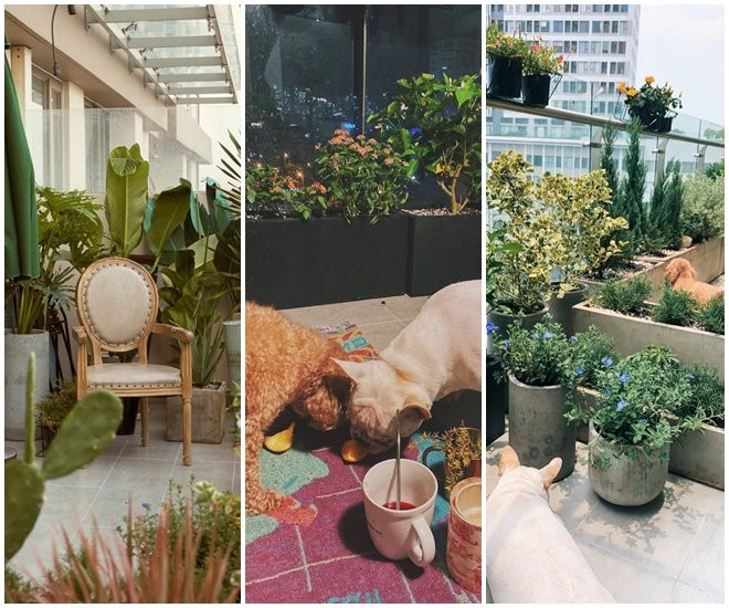 Tại ban công, Châu Bùi có thể thoải mái trồng cây và có không gian cho 2 chú chó cưng chạy nhảy. Nguồn ảnh: FBNV