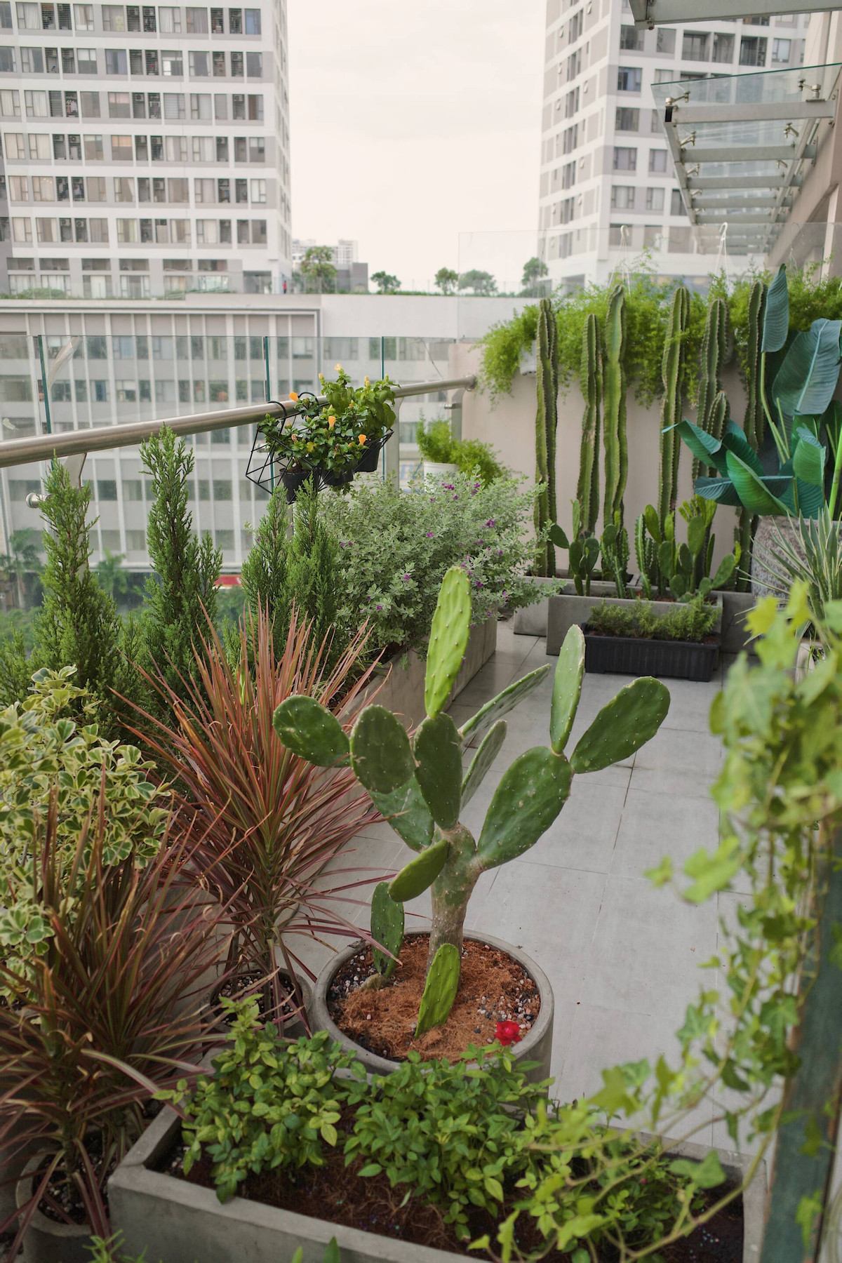 Ấn tượng nhất là khu vực ban công rộng 20m2 ngập tràn cây cối xanh tốt.