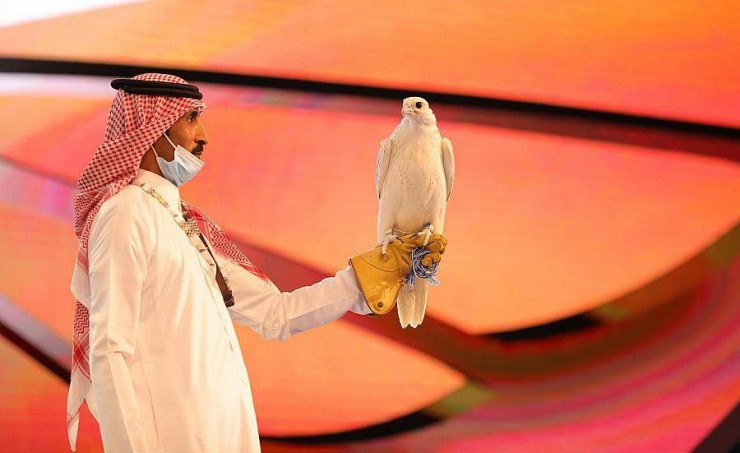 Một con chim ưng Canada đẹp hiếm có đã được bán giá 93.347 USD (hơn 2,3 tỷ đồng) tại Cuộc đấu giá những người nuôi chim ưng quốc tế, khiến nó trở thành con chim ưng đắt nhất từng được bán tại cuộc đấu giá, theo Arab News. Ảnh: BNA