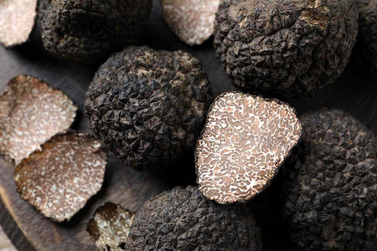 Trung bình, mỗi kg nấm truffle có giá dao động trong khoảng từ 3.000-4.000 USD (tương đương 74-98 triệu đồng). Ảnh: Getty