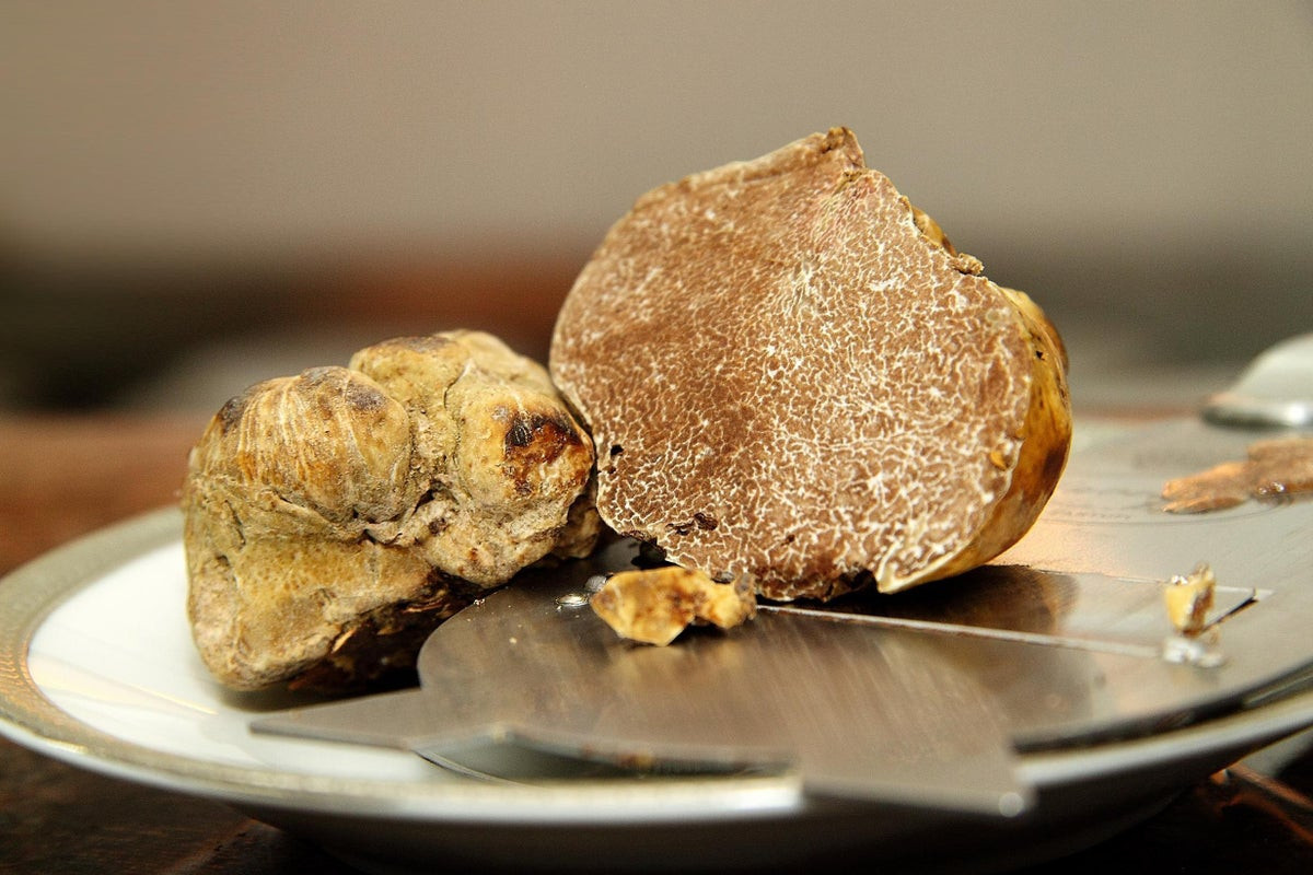Trong đó, nấm truffle được mệnh danh là món ăn dành cho giới nhà giàu bởi độ quý hiếm cũng như mức giá cao ngất ngưởng. Thậm chí, loại nấm này còn được ví như "kim cương trong giới ẩm thực" bởi độ quý giá. Ảnh: Getty