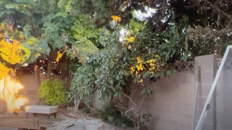 Khu vườn đơn sơ nhưng cây cối sum suê, tạo không gian xanh. Nguồn ảnh: FBNV, chụp màn hình