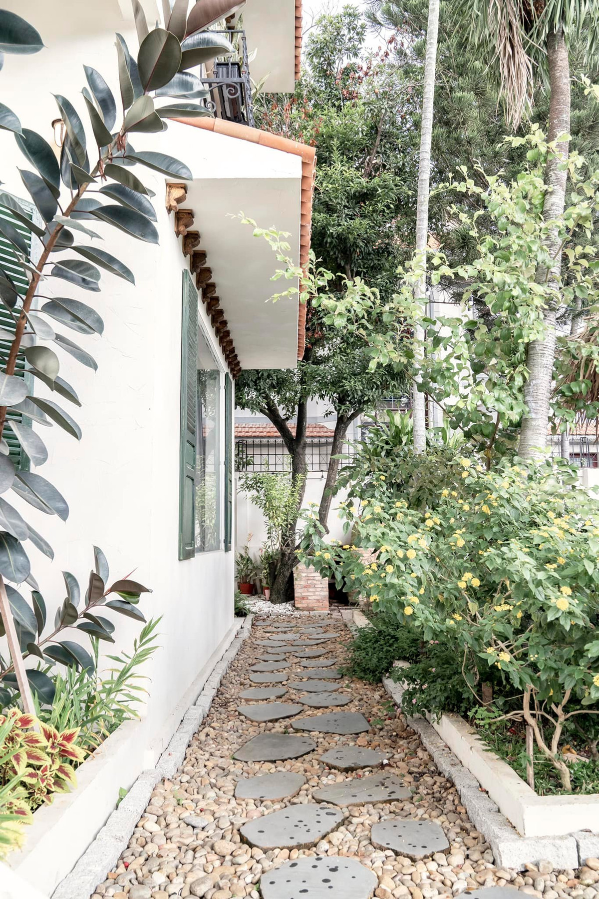 Xung quanh ngôi nhà là sân vườn trồng nhiều cây xanh.