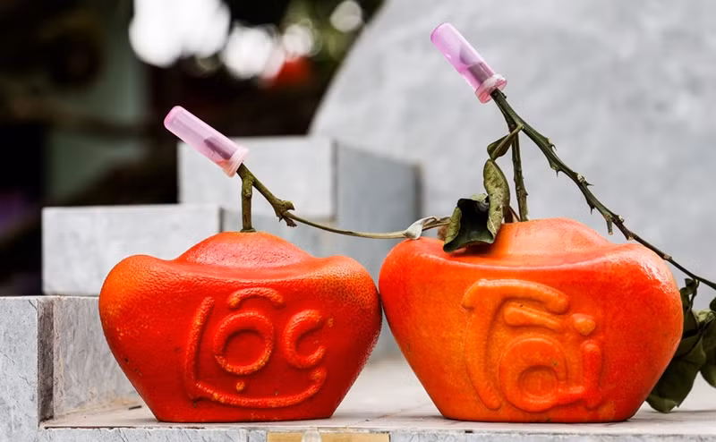 Bưởi đỏ Đông Cao (còn được gọi là bưởi đỏ "tiến vua") với tạo hình chữ tài - lộc là đặc sản đắt khách trong dịp Tết Nguyên đán Giáp Thìn 2024. Ảnh: Người đưa tin