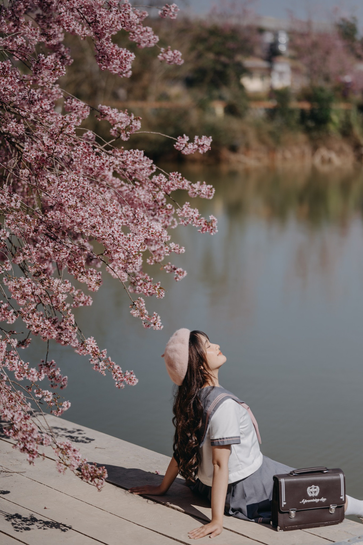 Loài hoa sắc hồng quyến rũ du khách gần xa đến với Đà Lạt để thưởng ngoạn và ghi lại khoảnh khắc mùa xuân.