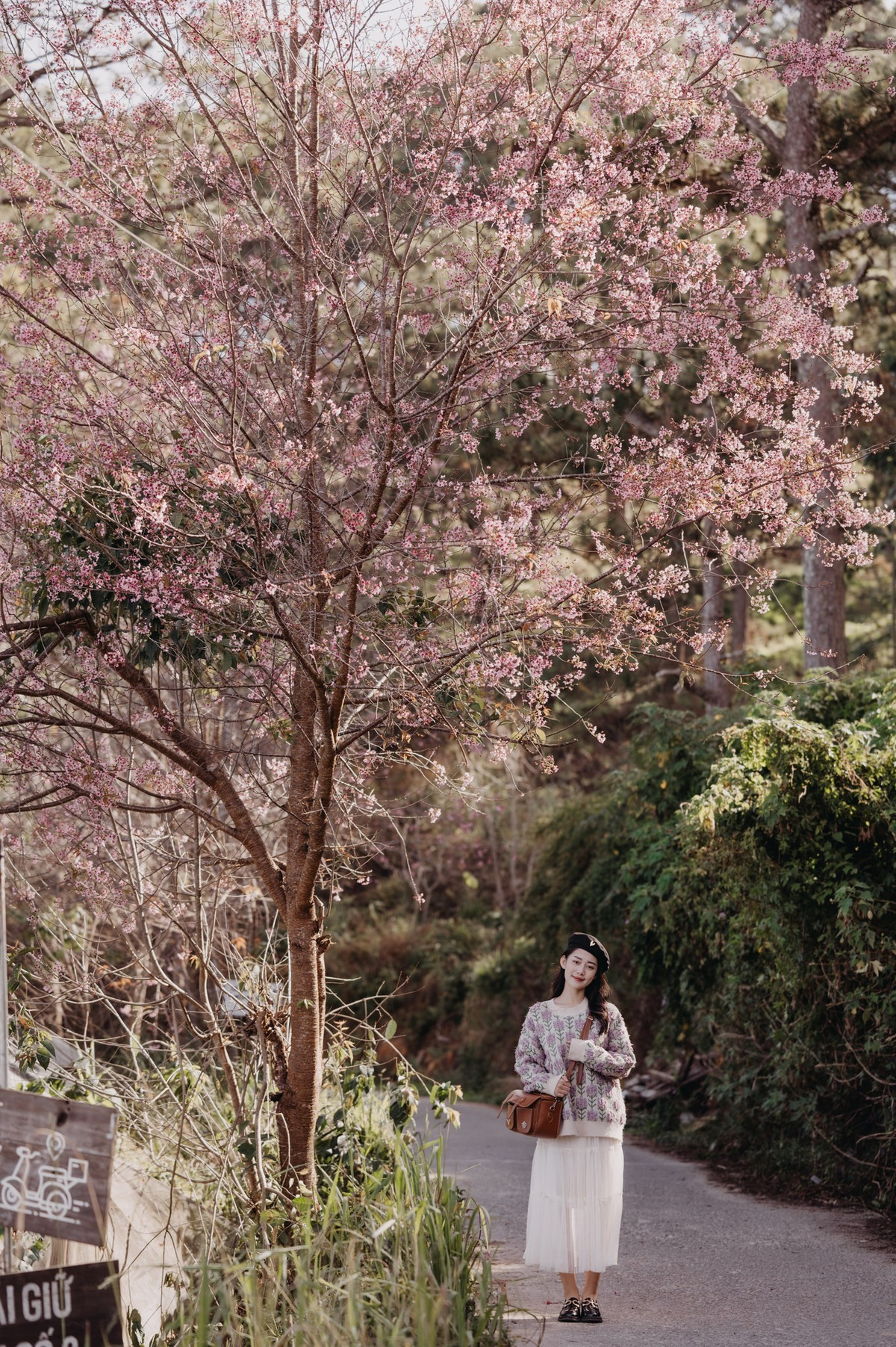 Nổi tiếng với những ngôi nhà lồng, với những cây hoa anh đào vào mùa bung nở, Đà Lạt luôn là địa điểm níu chân các du khách.