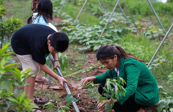 Rau củ nhiều ăn không hết, Oanh Yến mang biếu người làm và dân quanh vùng chứ không bán. Ảnh: Dân trí