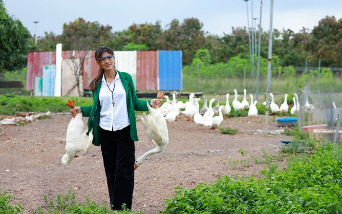 Đàn gia cầm được nuôi thả trong khu vườn rộng, là nguồn cung trứng, thịt cho gia đình. Ảnh: Dân trí