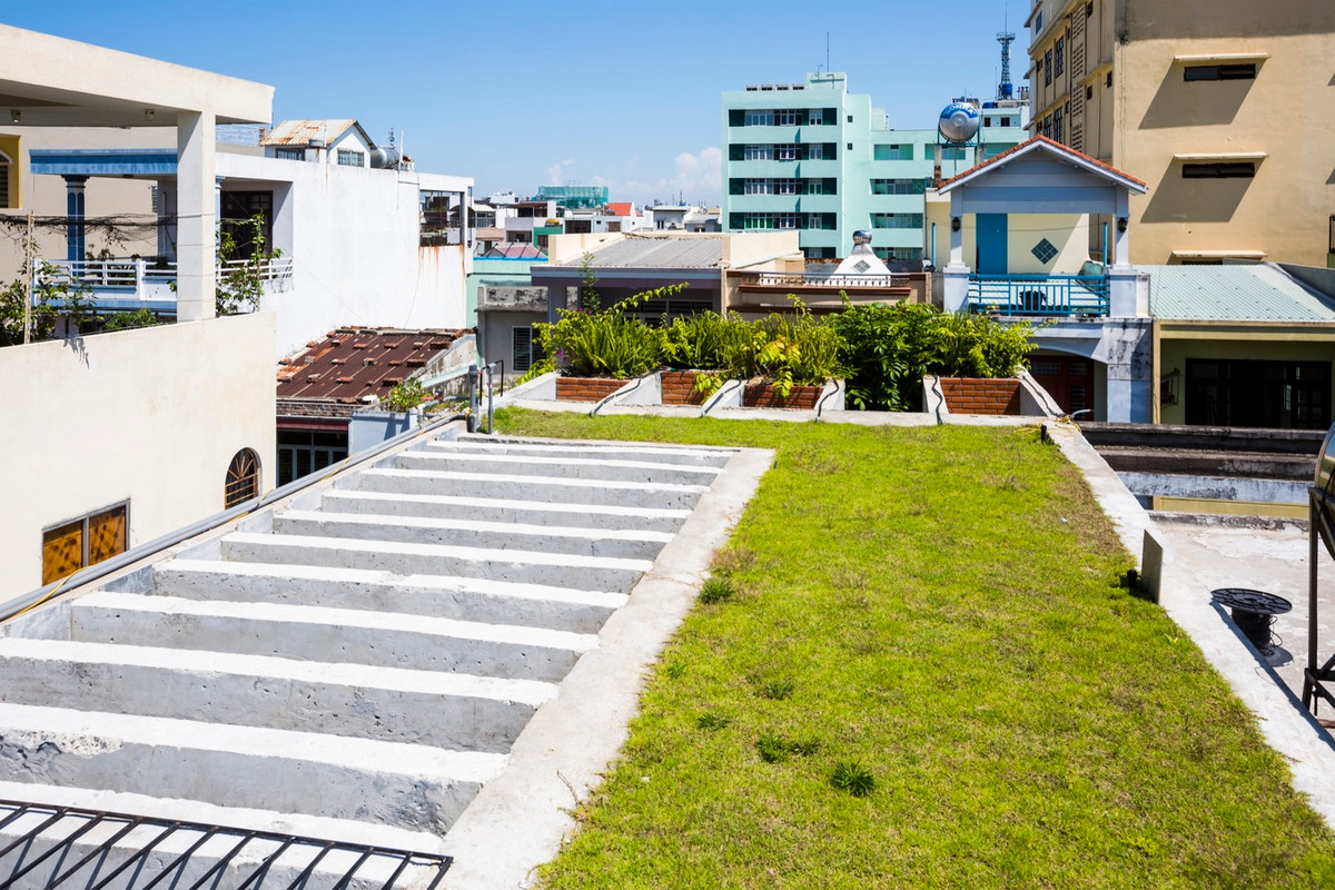 Thảm thực vật giúp bảo vệ mái đồng thời làm giảm bức xạ nhiệt vào không gian ở.